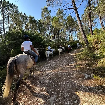 Σπίτι διακοπών Casa Da Mae Ju Porto de Mós