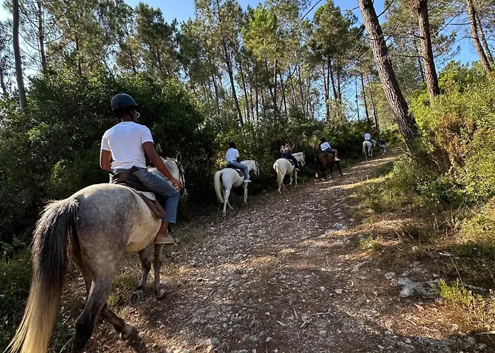別荘 Casa Da Mae Ju Porto de Mós